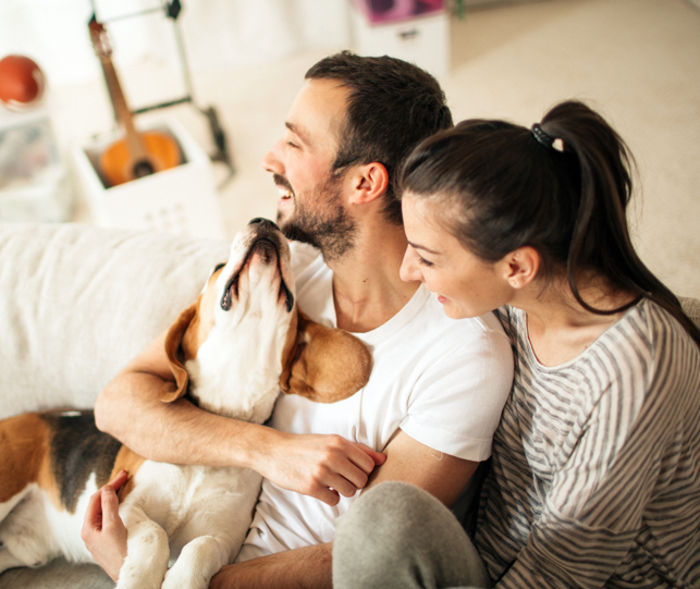 Renters Renters